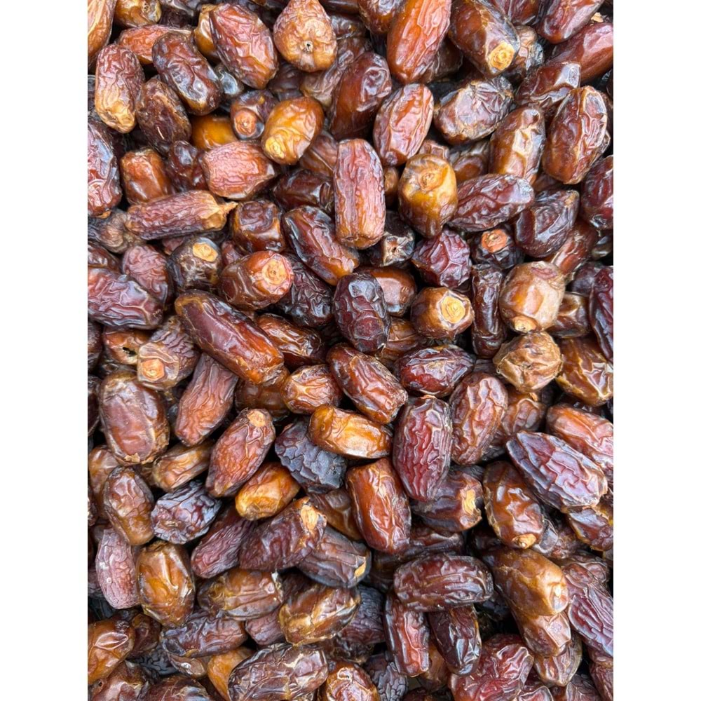 Kabuksuz Mısır Hurması