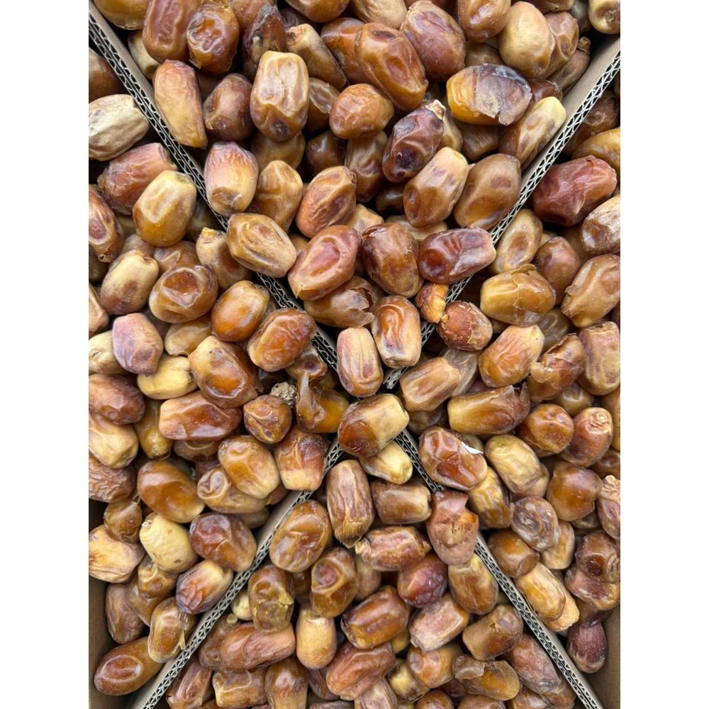 Bağdat Hurması (10 Kg)