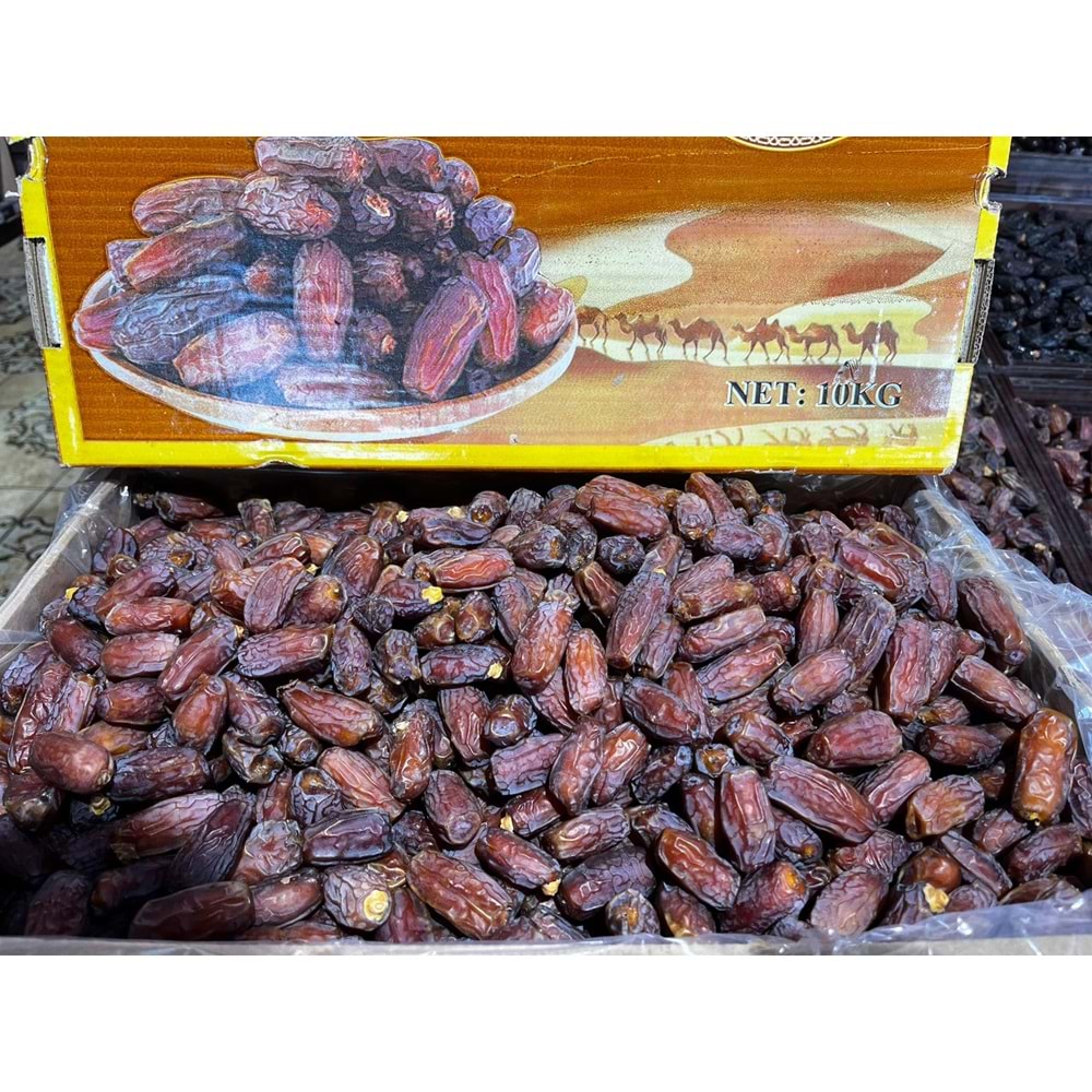 KABUKSUZ MEDİNE MEBRUM DUBLE