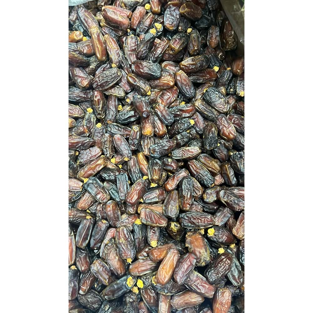 KABUKSUZ MEDİNE MEBRUM DUBLE