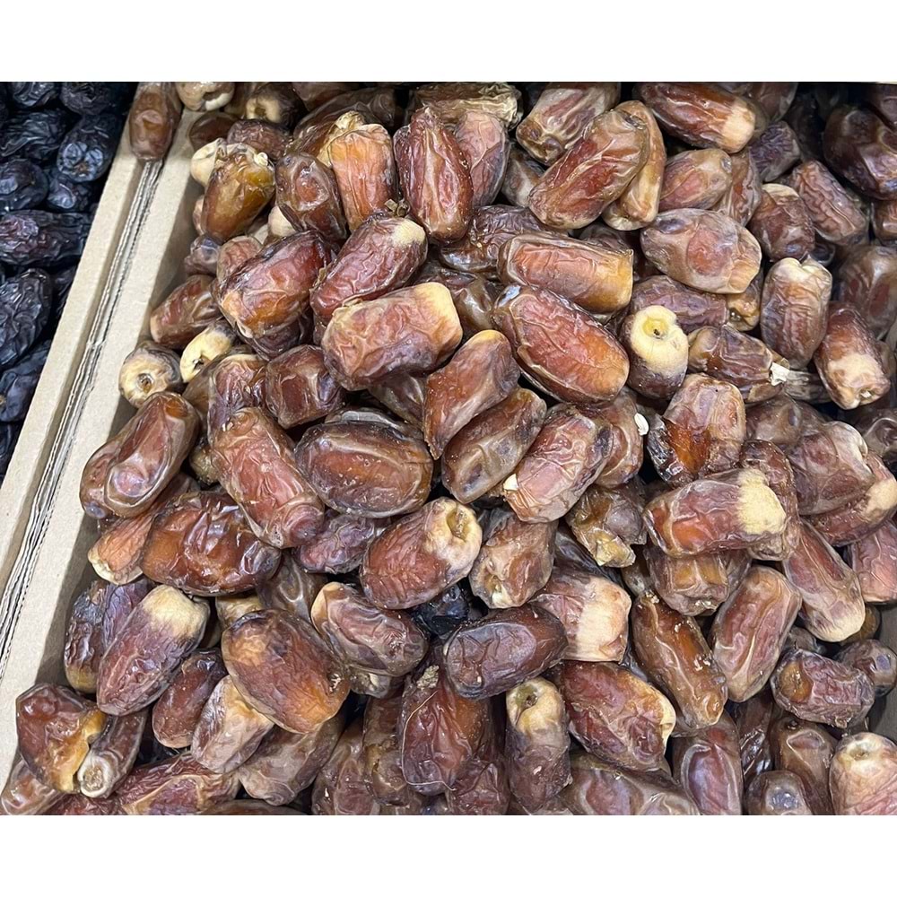 MEDİNE SUGAİ DUBLE