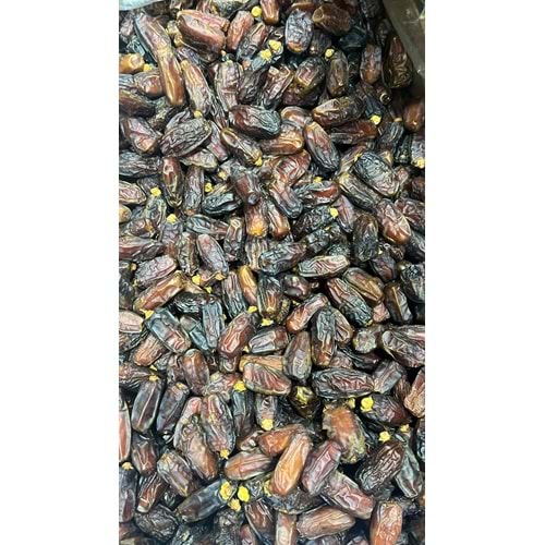 KABUKSUZ MEDİNE MEBRUM DUBLE